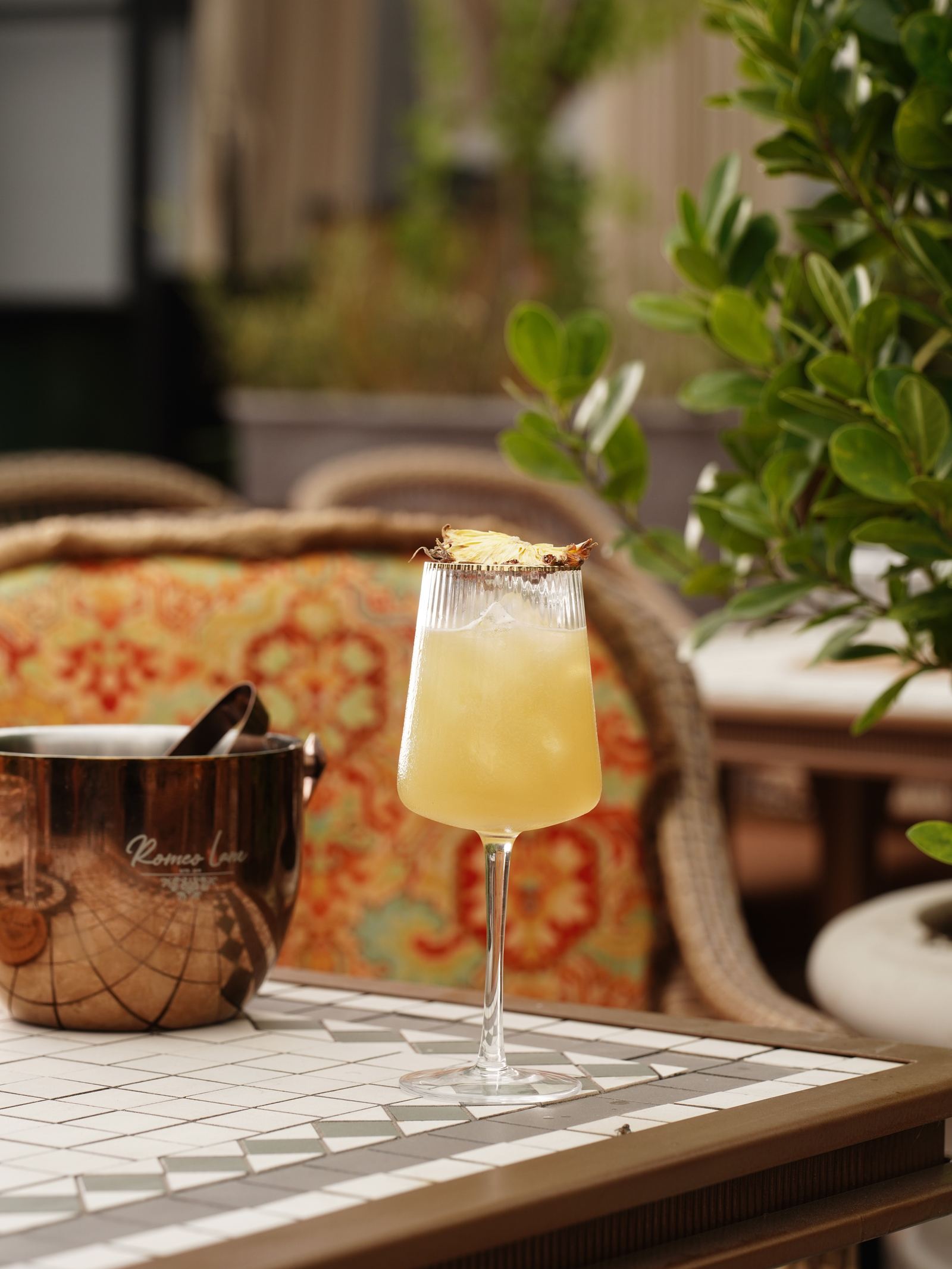 Romeo Lane — pineapple garnish cocktail
